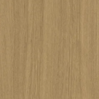 Sand Oak