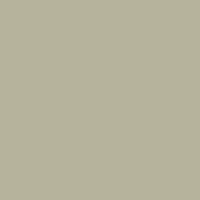 Light Grey 729