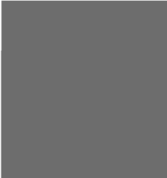Java Brown 3025