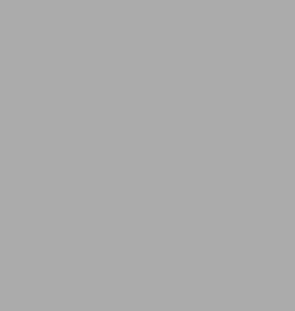 Sunset Grey 399