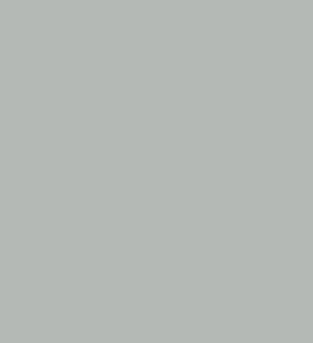 EDC Light Grey 6016